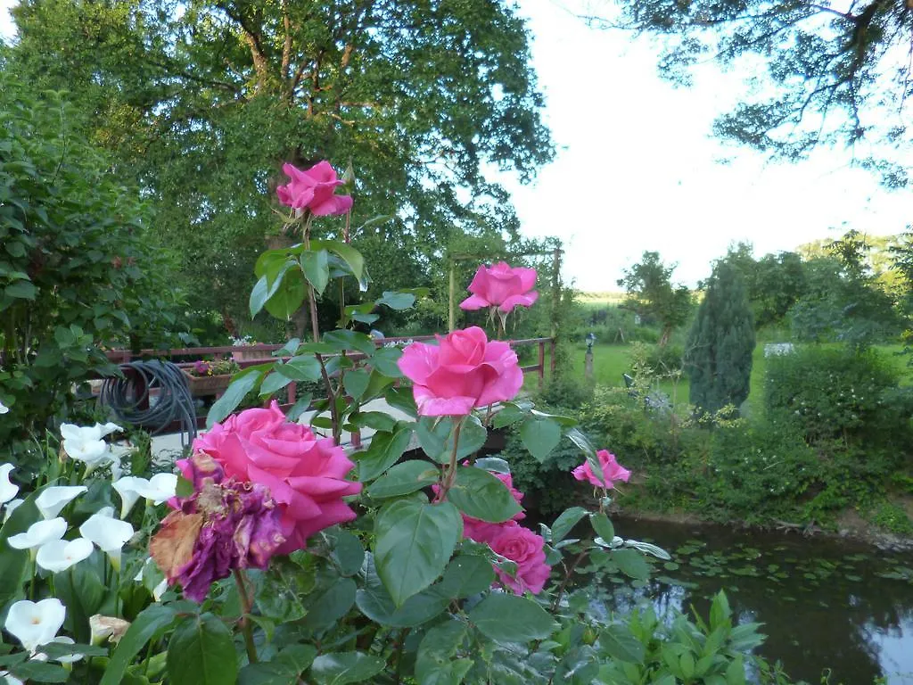 Le Moulin Du Bignon Bed & Breakfast Lassy