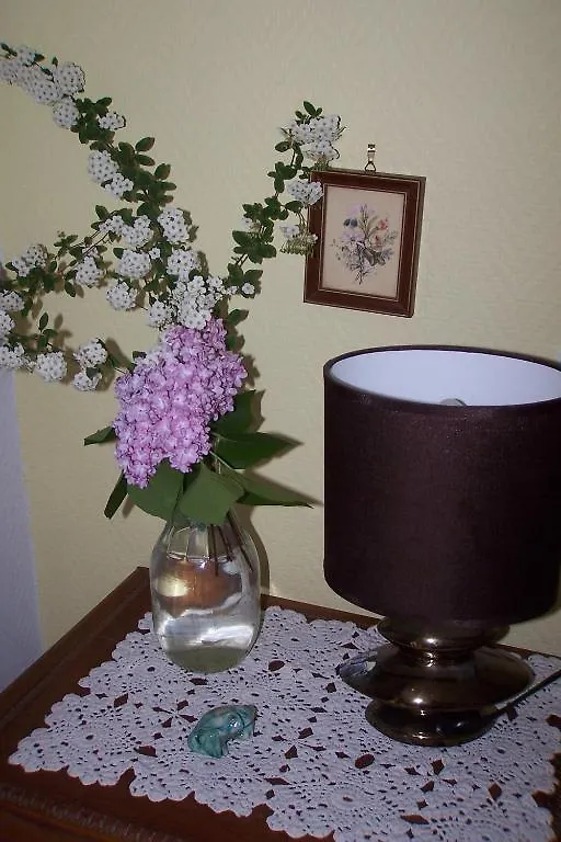 Le Moulin Du Bignon Bed & Breakfast Lassy